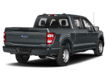 2021 Ford F-150 Tremor
