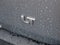 2019 Chevrolet Traverse LT Cloth w/1LT